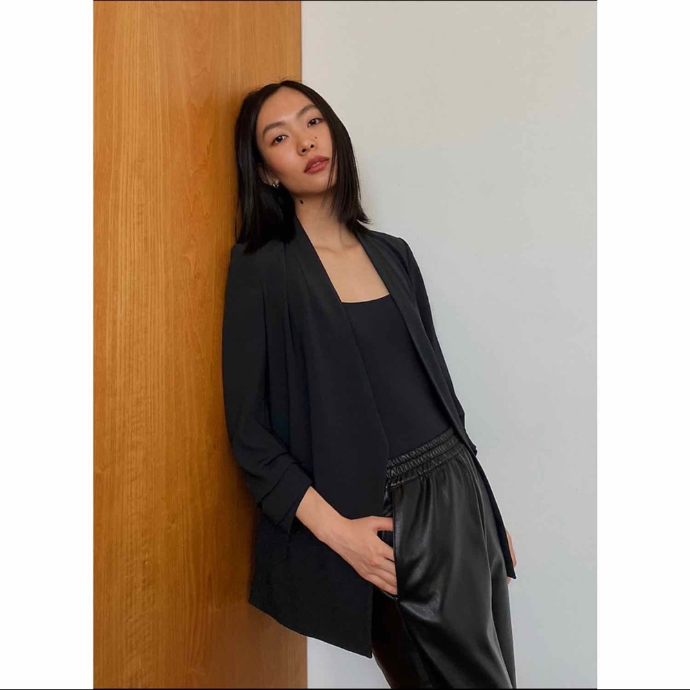 Aritzia Babaton Power Blazer - Black